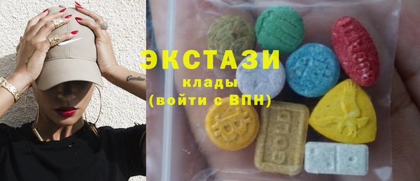 индика Вяземский