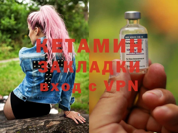 индика Вяземский