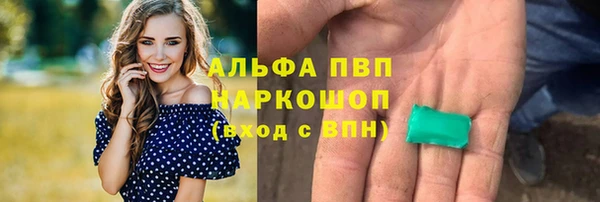 PSILOCYBIN Вязники