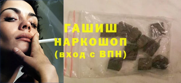 индика Вяземский
