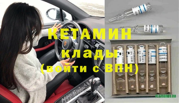 индика Вяземский
