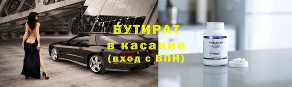 индика Вяземский