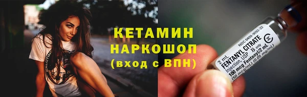 индика Вяземский