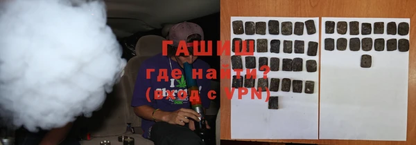 индика Вяземский