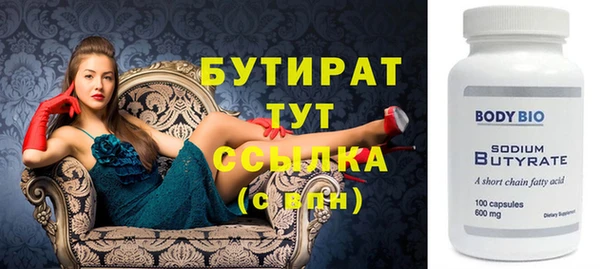 индика Вяземский