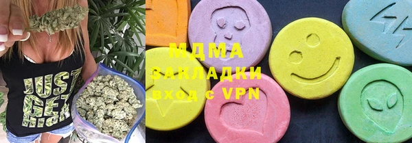 индика Вяземский