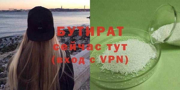 индика Вяземский