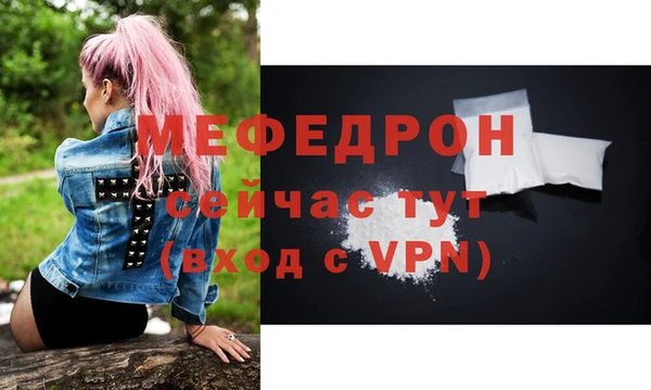 индика Вяземский