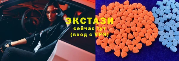 индика Вяземский