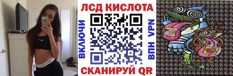 Наркотические марки 1500мкг  Порхов 