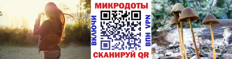 Псилоцибиновые грибы Psilocybine cubensis  Порхов 