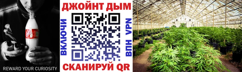 hydra ССЫЛКА Порхов Шишки марихуана марихуана